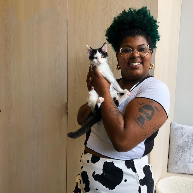Cat Adoption