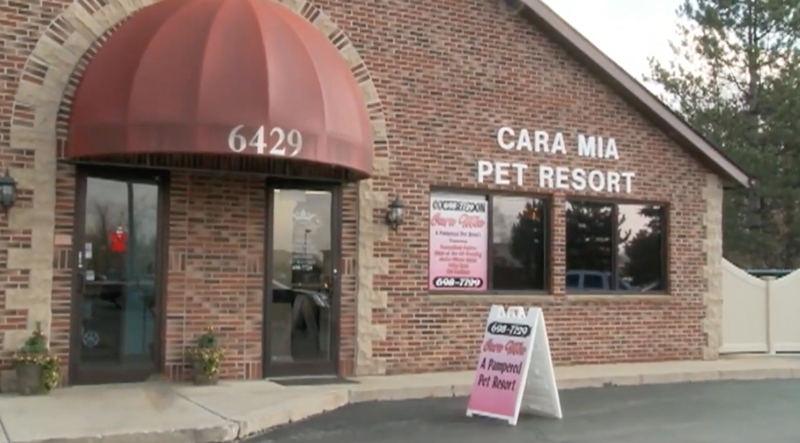 Cara Mia Pet Resort Cara Mia Pet Resort
